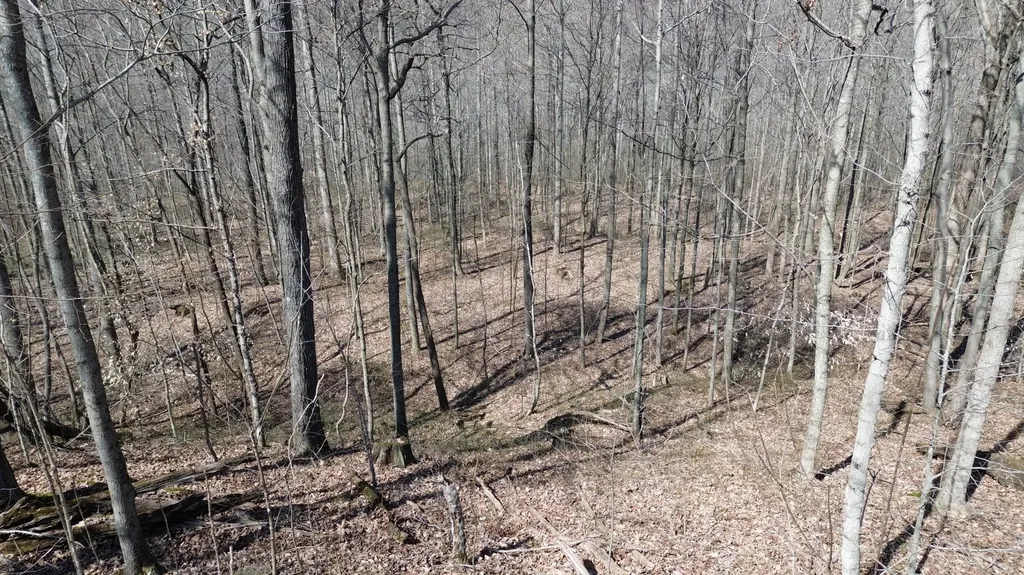 20A Riverside Benleo Road Bowling Green KY 42101