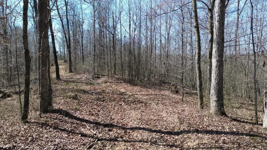 20A Riverside Benleo Road Bowling Green KY 42101