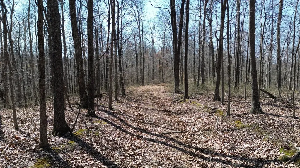 20A Riverside Benleo Road Bowling Green KY 42101