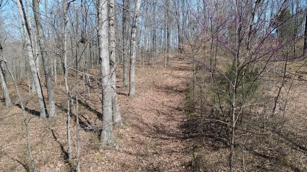 20A Riverside Benleo Road Bowling Green KY 42101
