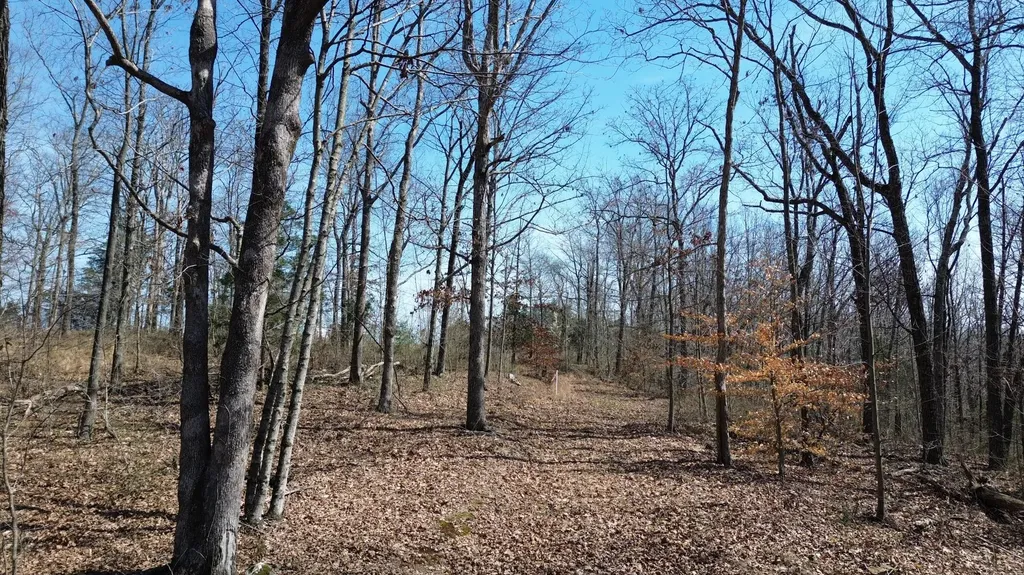 20A Riverside Benleo Road Bowling Green KY 42101