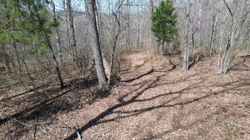 20A Riverside Benleo Road Bowling Green KY 42101