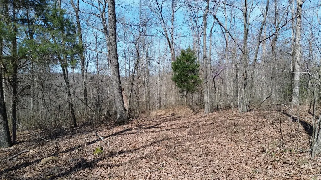 20A Riverside Benleo Road Bowling Green KY 42101