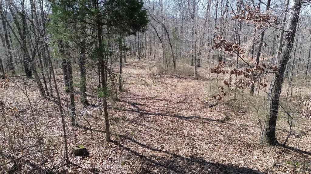 20A Riverside Benleo Road Bowling Green KY 42101
