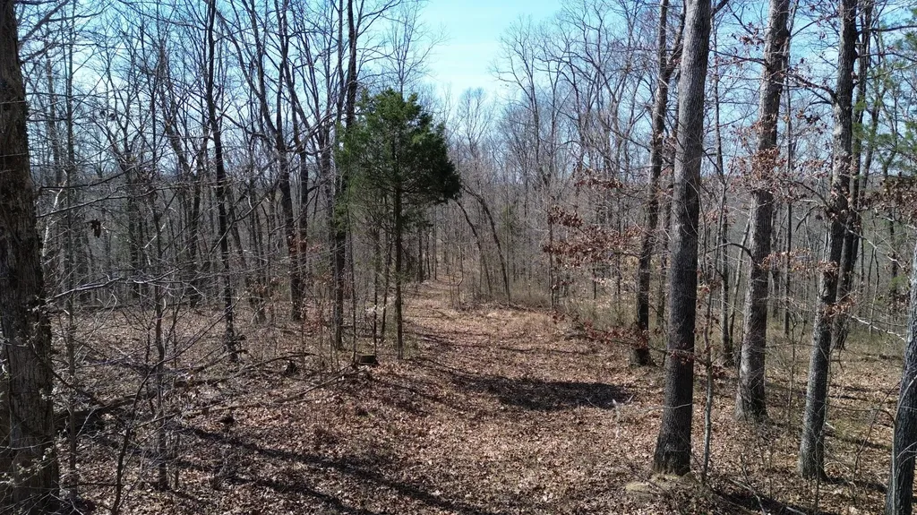 20A Riverside Benleo Road Bowling Green KY 42101