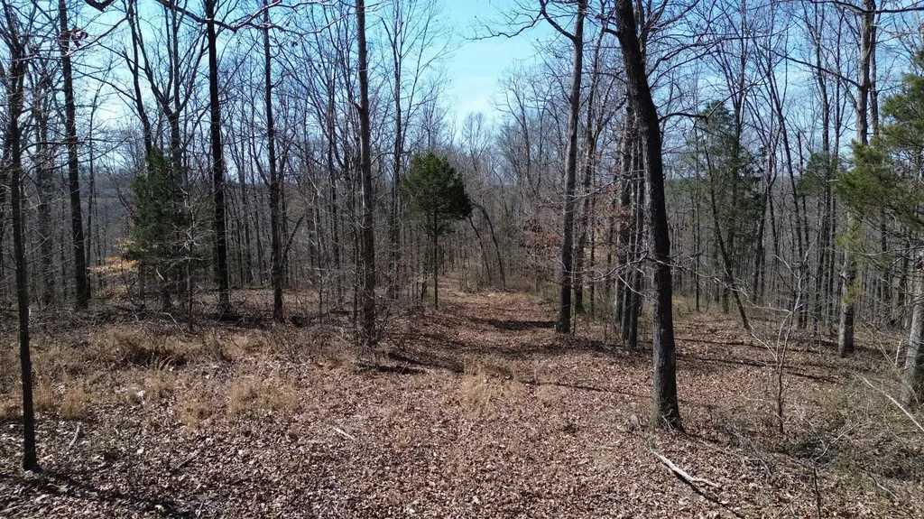 20A Riverside Benleo Road Bowling Green KY 42101