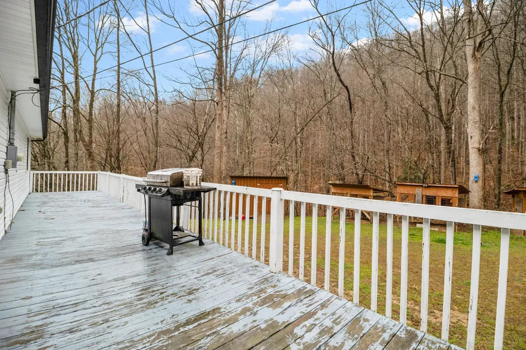 1291 Polls Creek Road Smilax KY 41764
