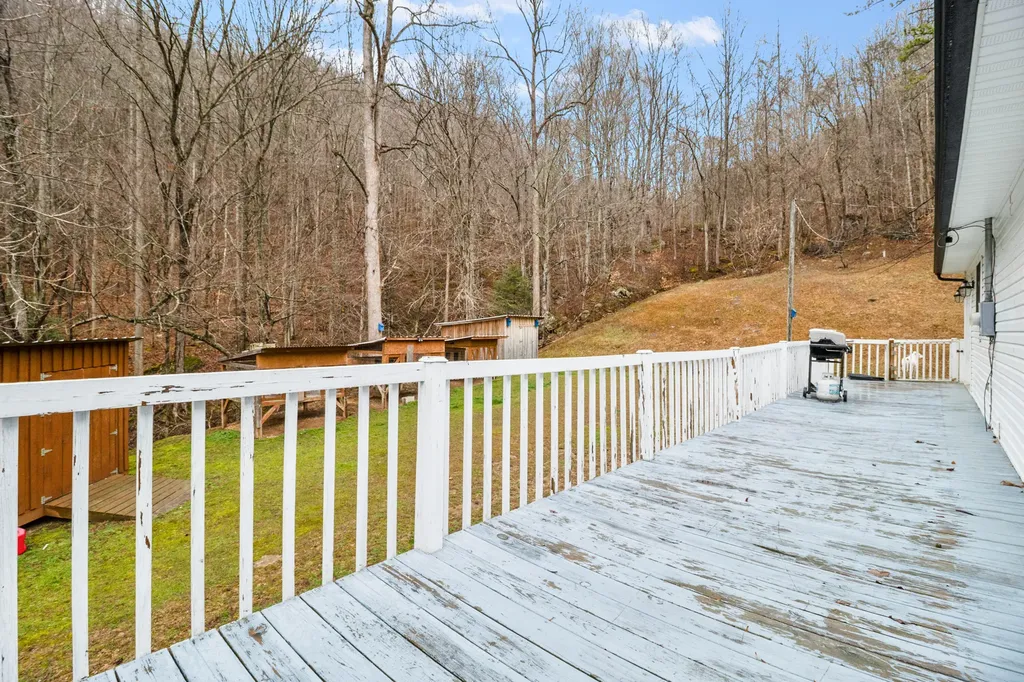 1291 Polls Creek Road Smilax KY 41764