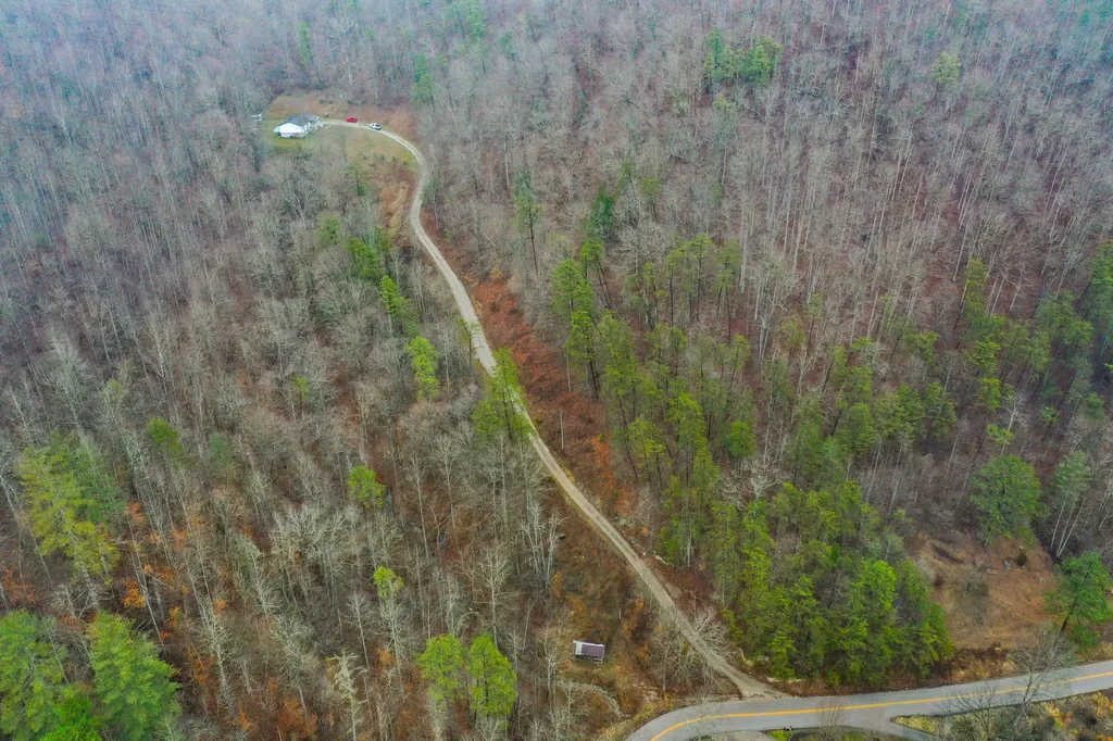1291 Polls Creek Road Smilax KY 41764