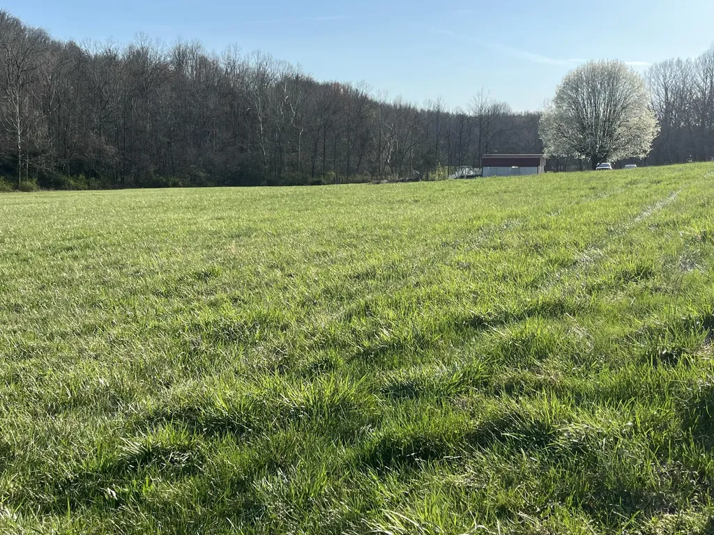 2864 Scrubgrass Road Gravel Switch KY 40328