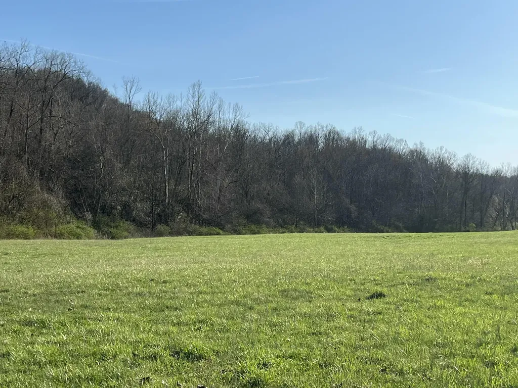 2864 Scrubgrass Road Gravel Switch KY 40328