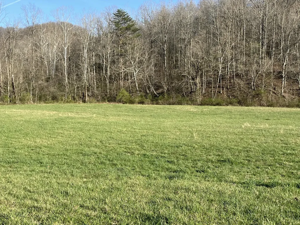 2864 Scrubgrass Road Gravel Switch KY 40328