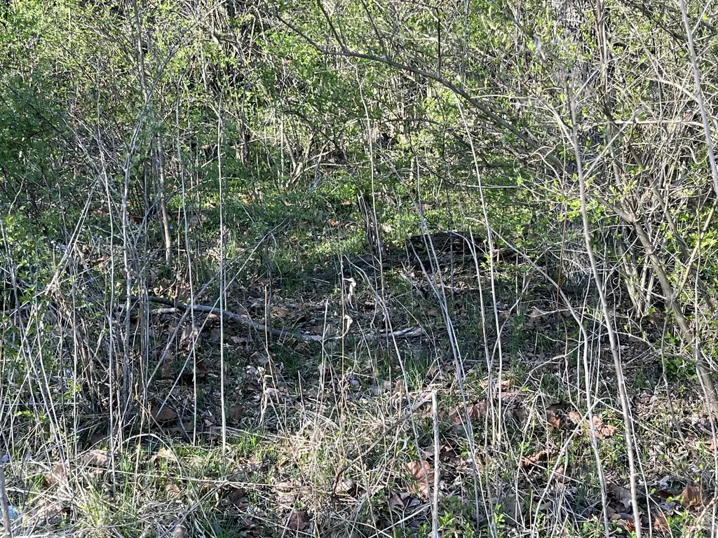 2864 Scrubgrass Road Gravel Switch KY 40328