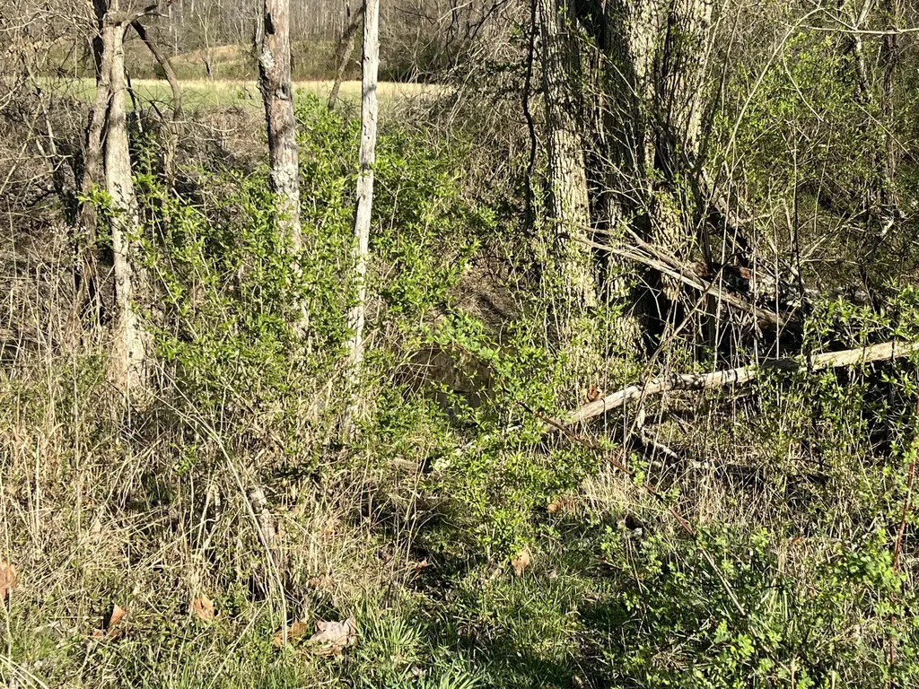 2864 Scrubgrass Road Gravel Switch KY 40328