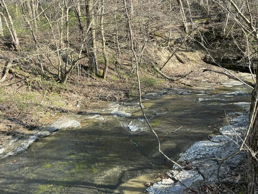 2864 Scrubgrass Road Gravel Switch KY 40328