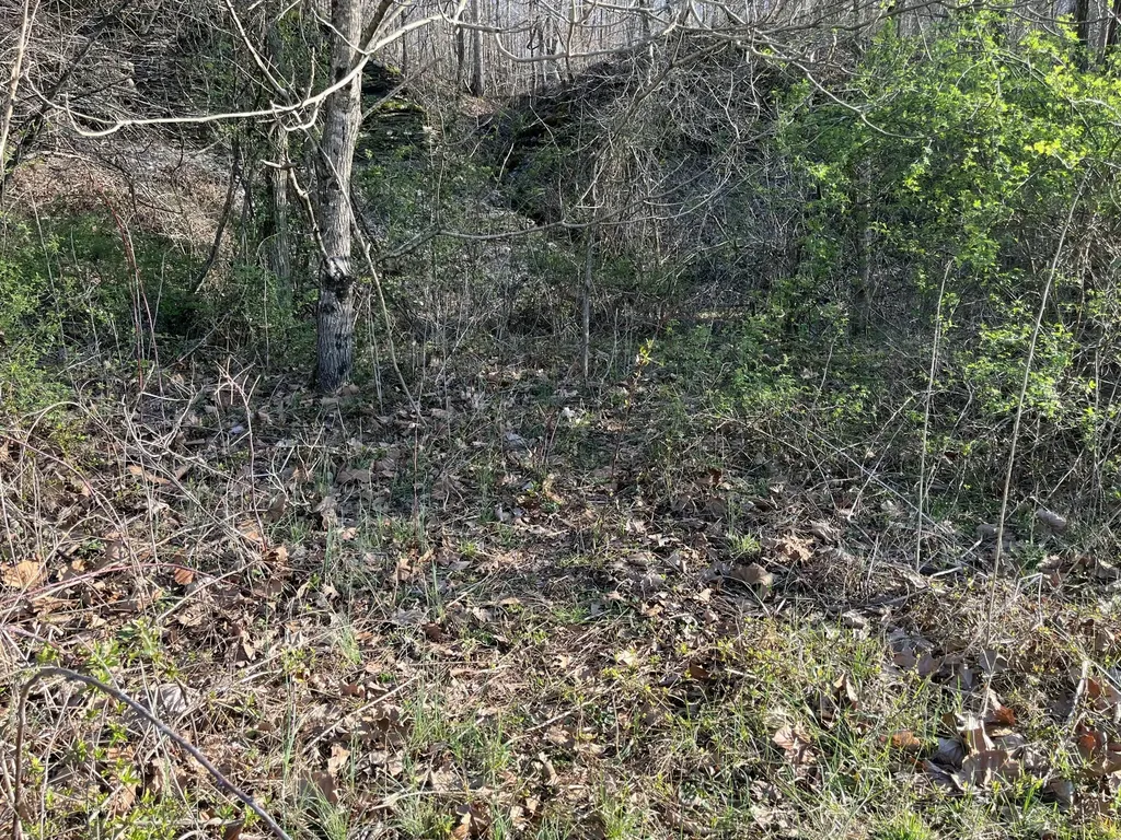 2864 Scrubgrass Road Gravel Switch KY 40328