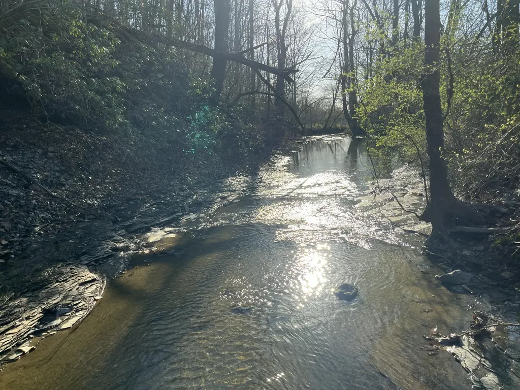 2864 Scrubgrass Road Gravel Switch KY 40328