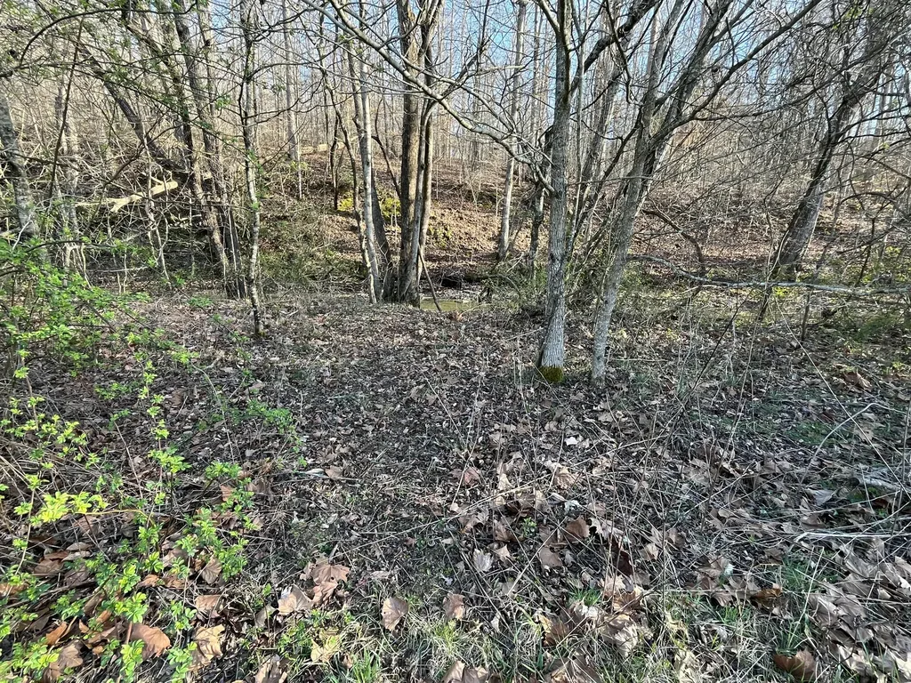 2864 Scrubgrass Road Gravel Switch KY 40328