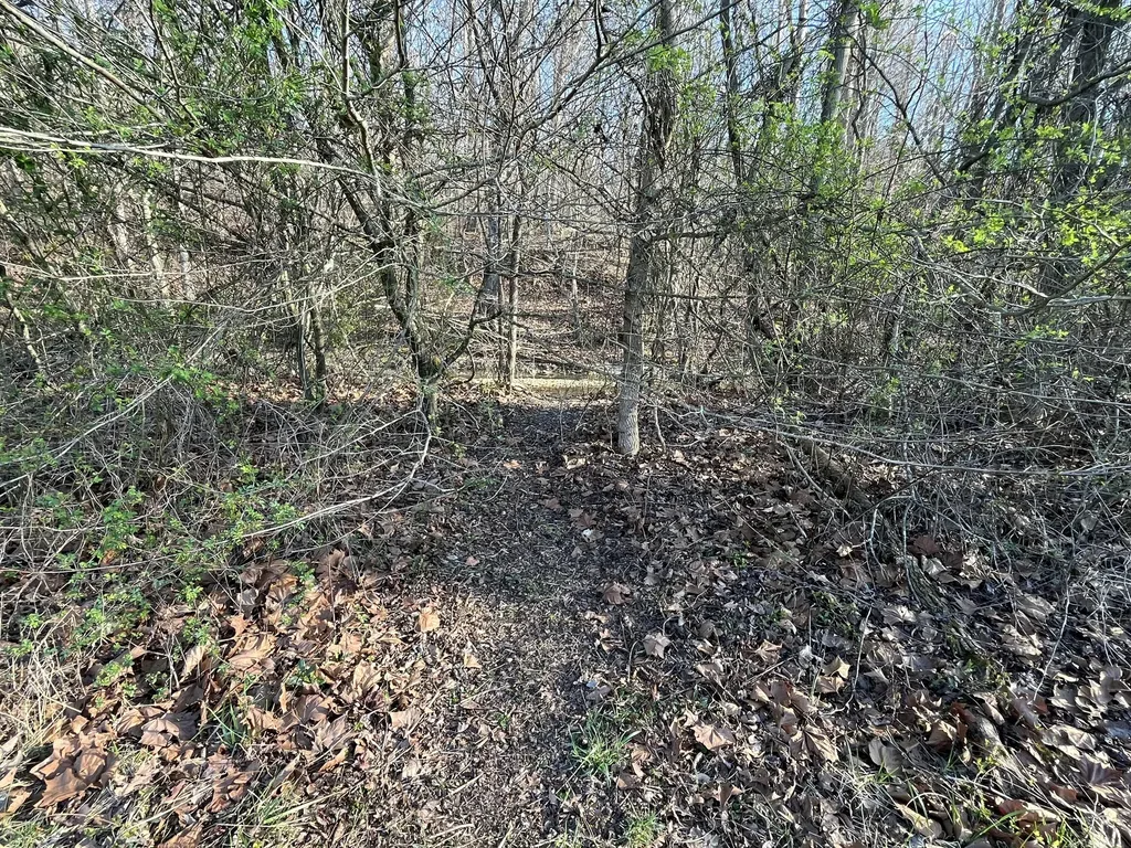 2864 Scrubgrass Road Gravel Switch KY 40328
