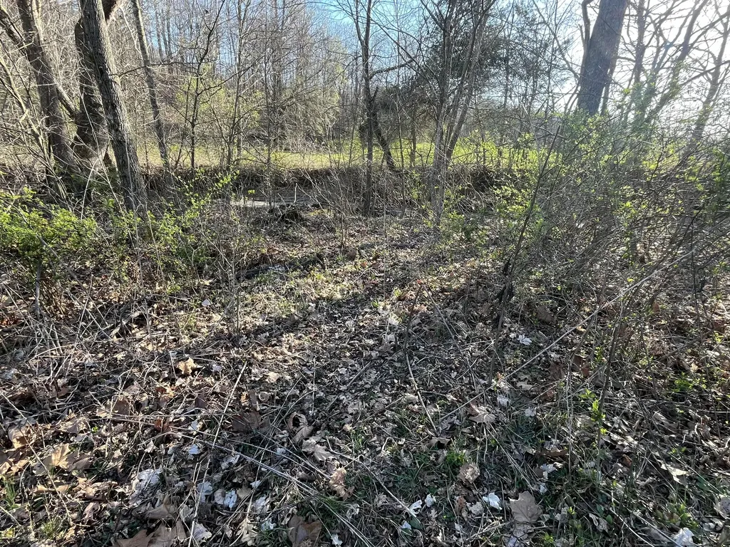 2864 Scrubgrass Road Gravel Switch KY 40328