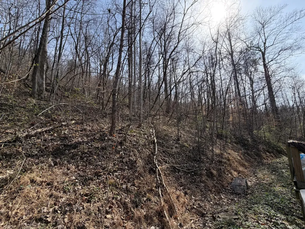 1600 Jerrica Leigh Lane Stanton KY 40380