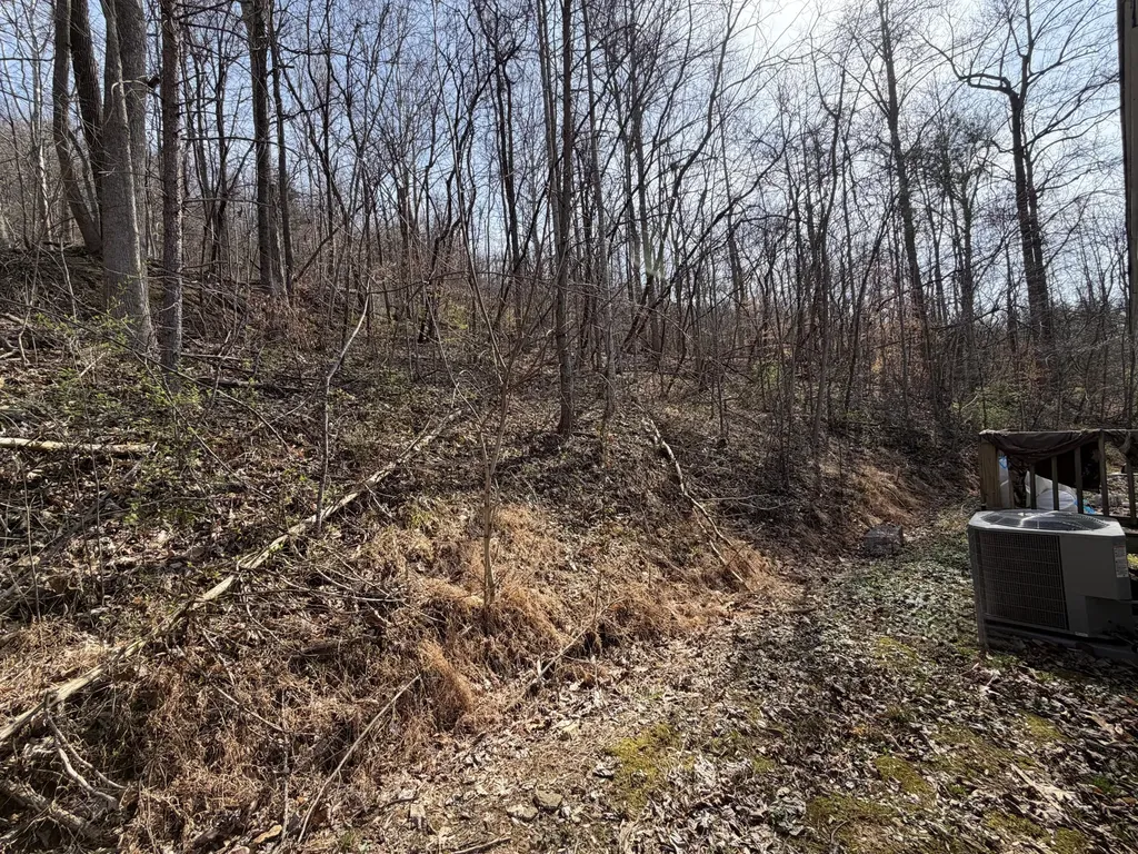 1600 Jerrica Leigh Lane Stanton KY 40380
