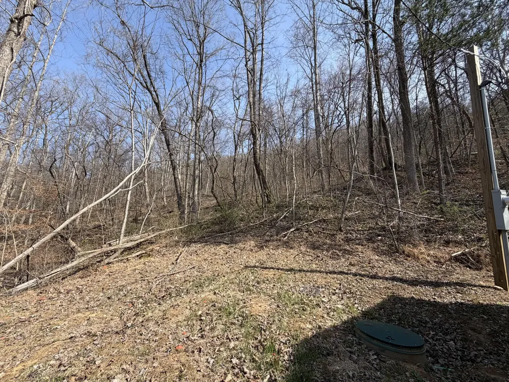 1600 Jerrica Leigh Lane Stanton KY 40380