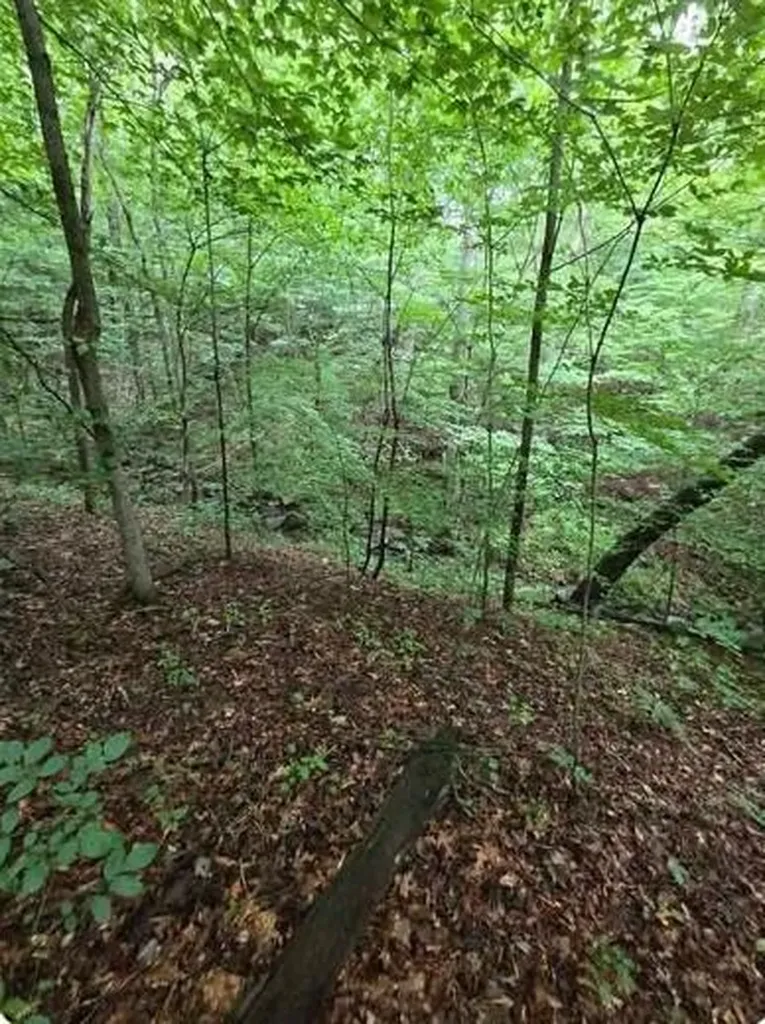 0 Beechmont Road Morehead KY 40351