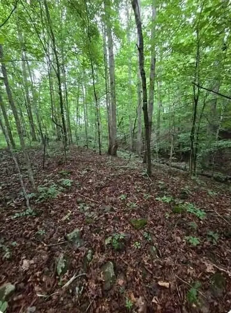 0 Beechmont Road Morehead KY 40351