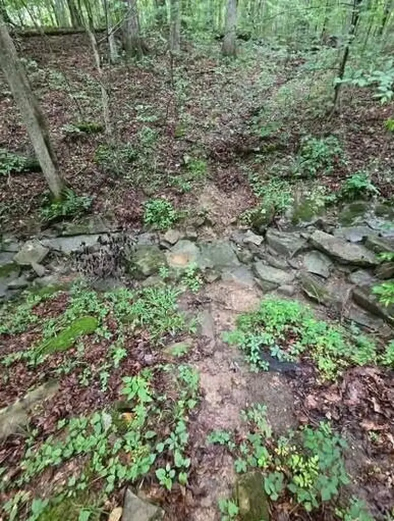 0 Beechmont Road Morehead KY 40351