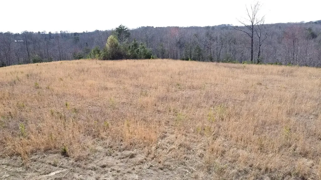 001 Kentucky 770 Corbin KY 40701