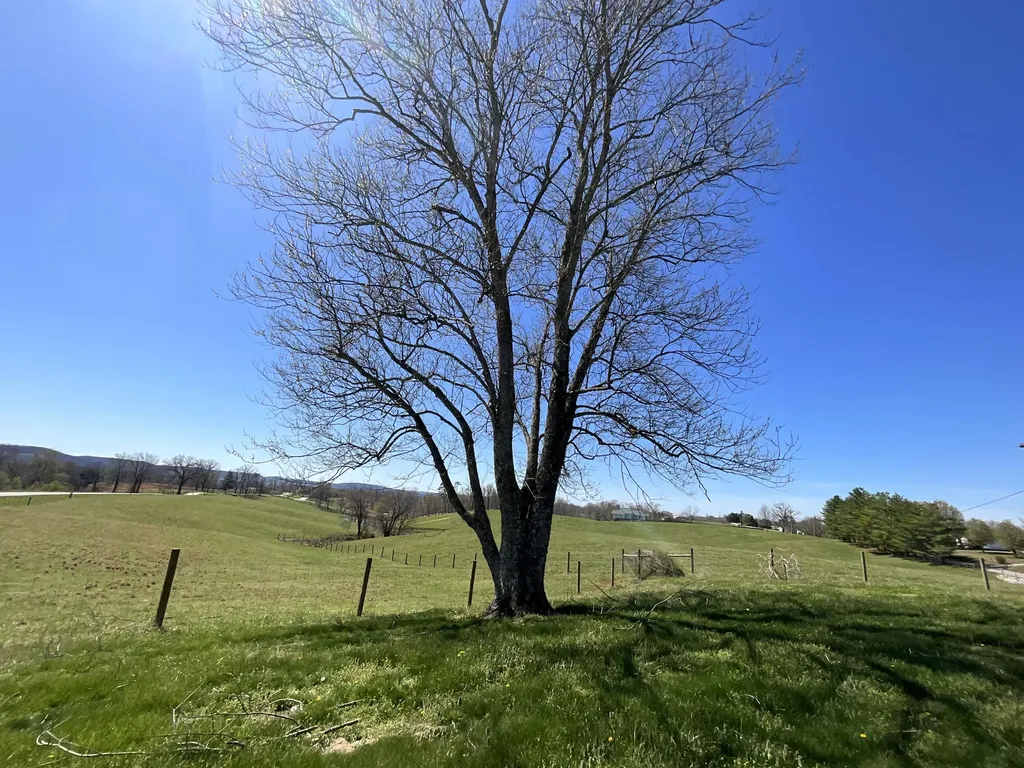 675 Slate Branch Spur Somerset KY 42503