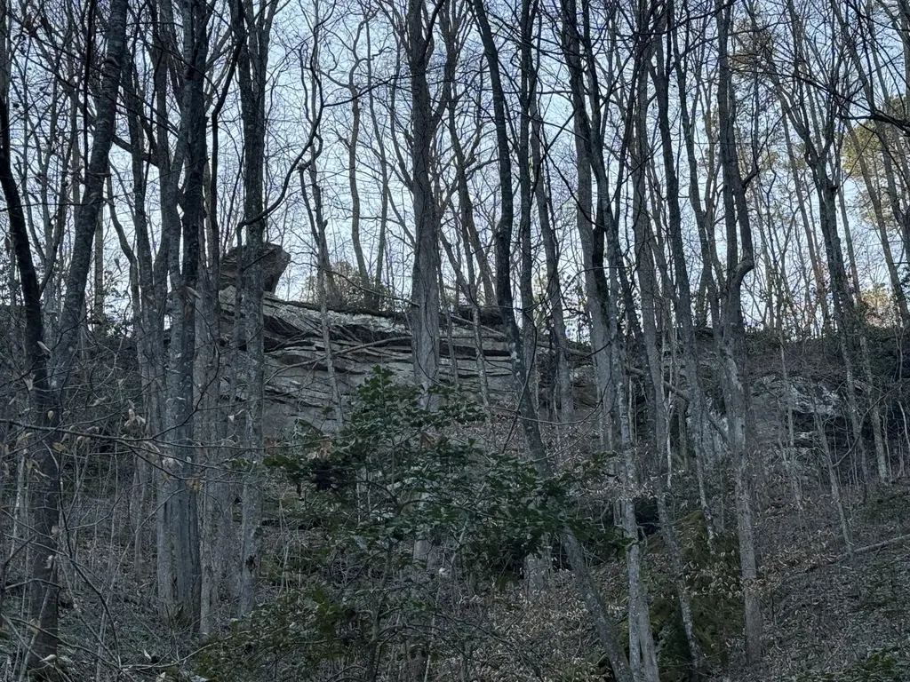 9991 Red Hill Road Livingston KY 40445