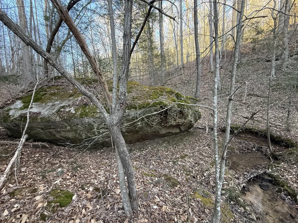 9991 Red Hill Road Livingston KY 40445