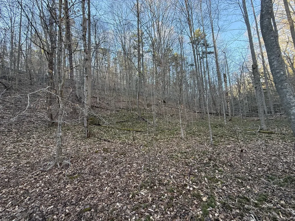 9991 Red Hill Road Livingston KY 40445