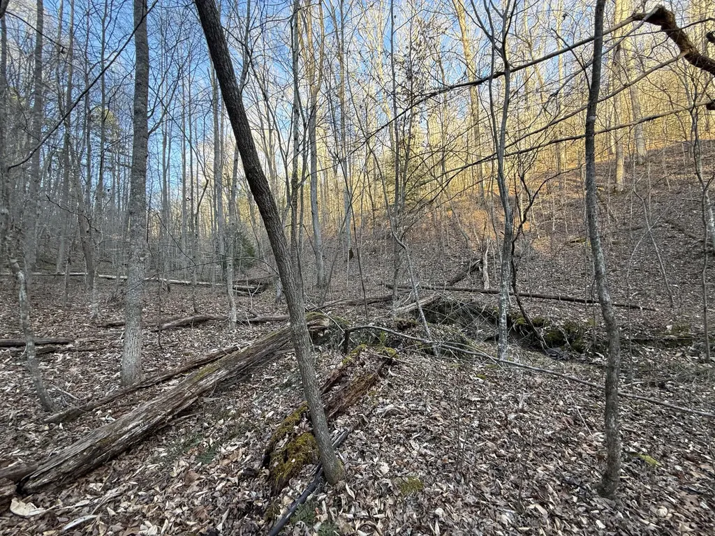 9991 Red Hill Road Livingston KY 40445