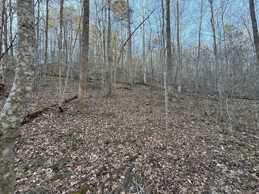 9991 Red Hill Road Livingston KY 40445