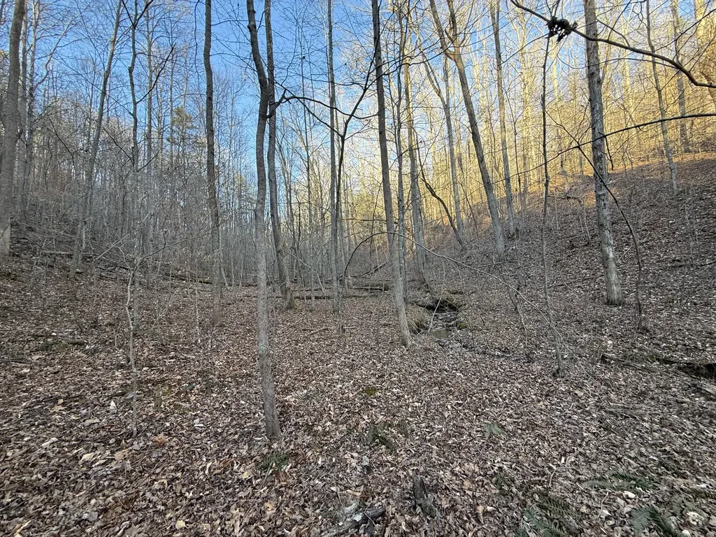 9991 Red Hill Road Livingston KY 40445