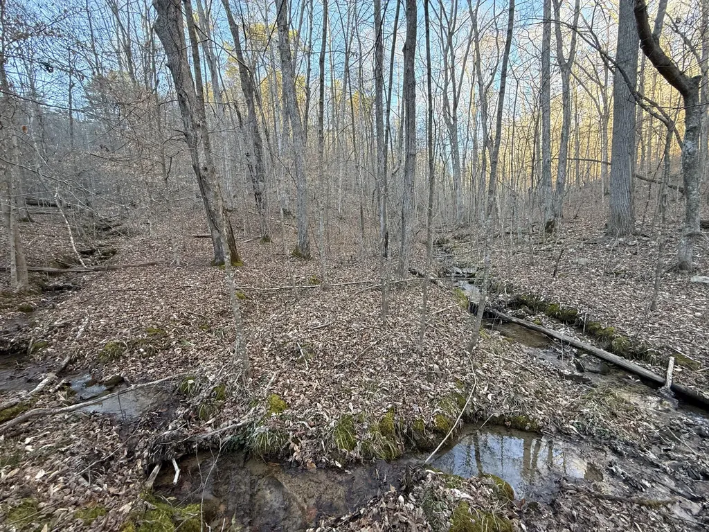 9991 Red Hill Road Livingston KY 40445