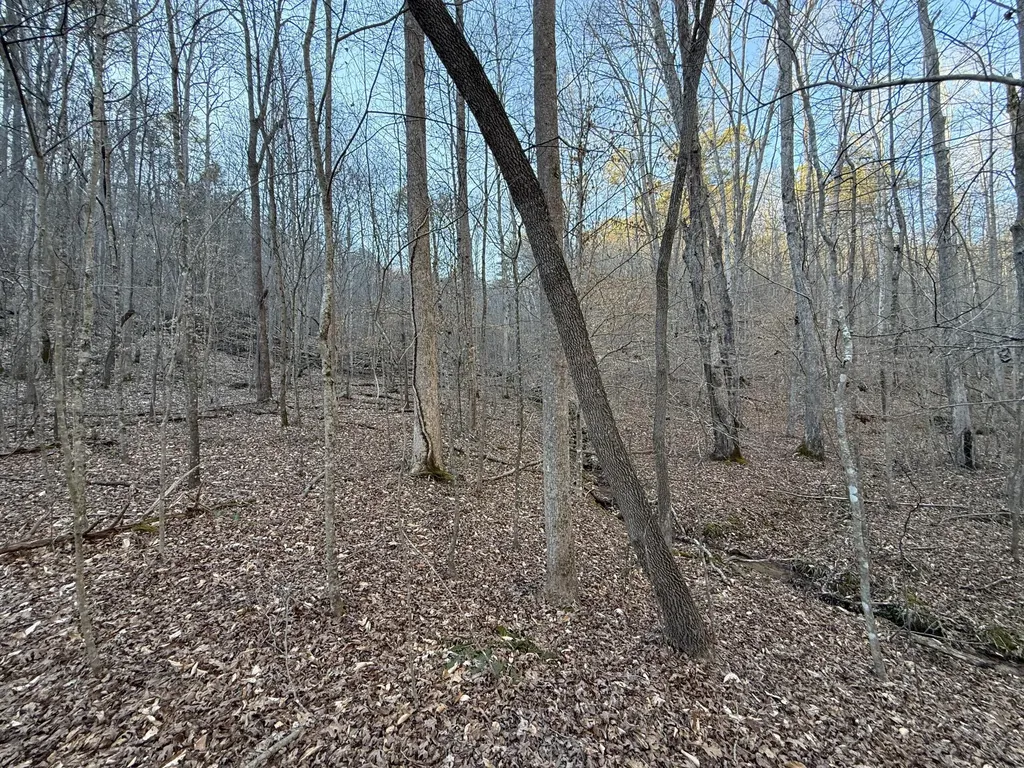9991 Red Hill Road Livingston KY 40445