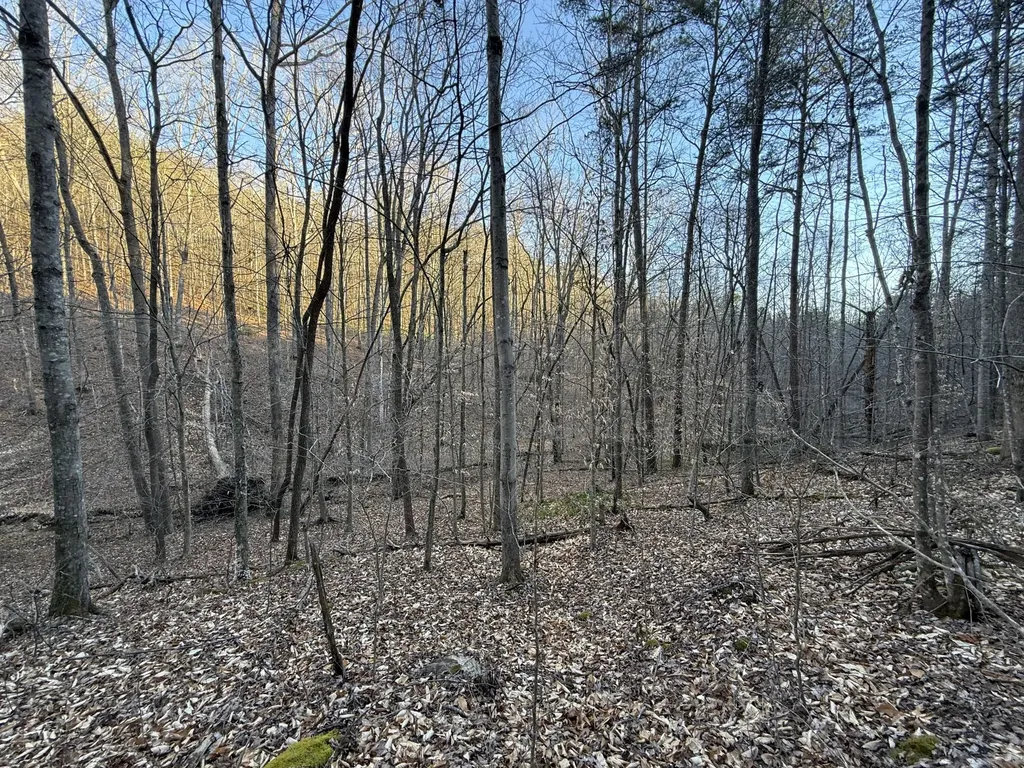 9991 Red Hill Road Livingston KY 40445