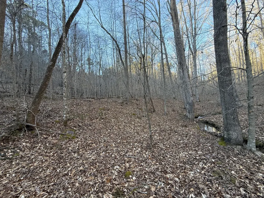 9991 Red Hill Road Livingston KY 40445