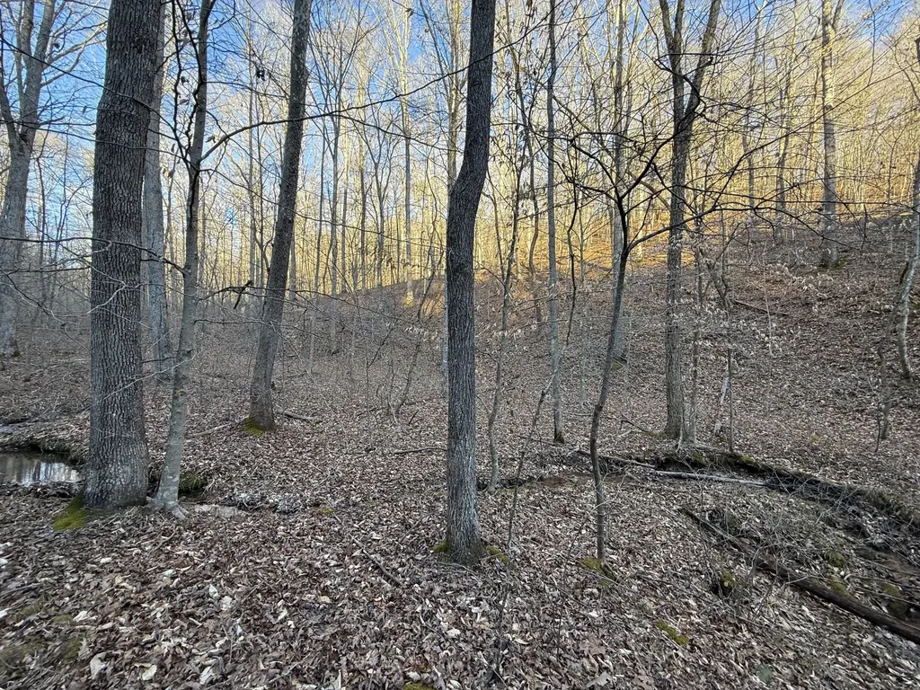 9991 Red Hill Road Livingston KY 40445