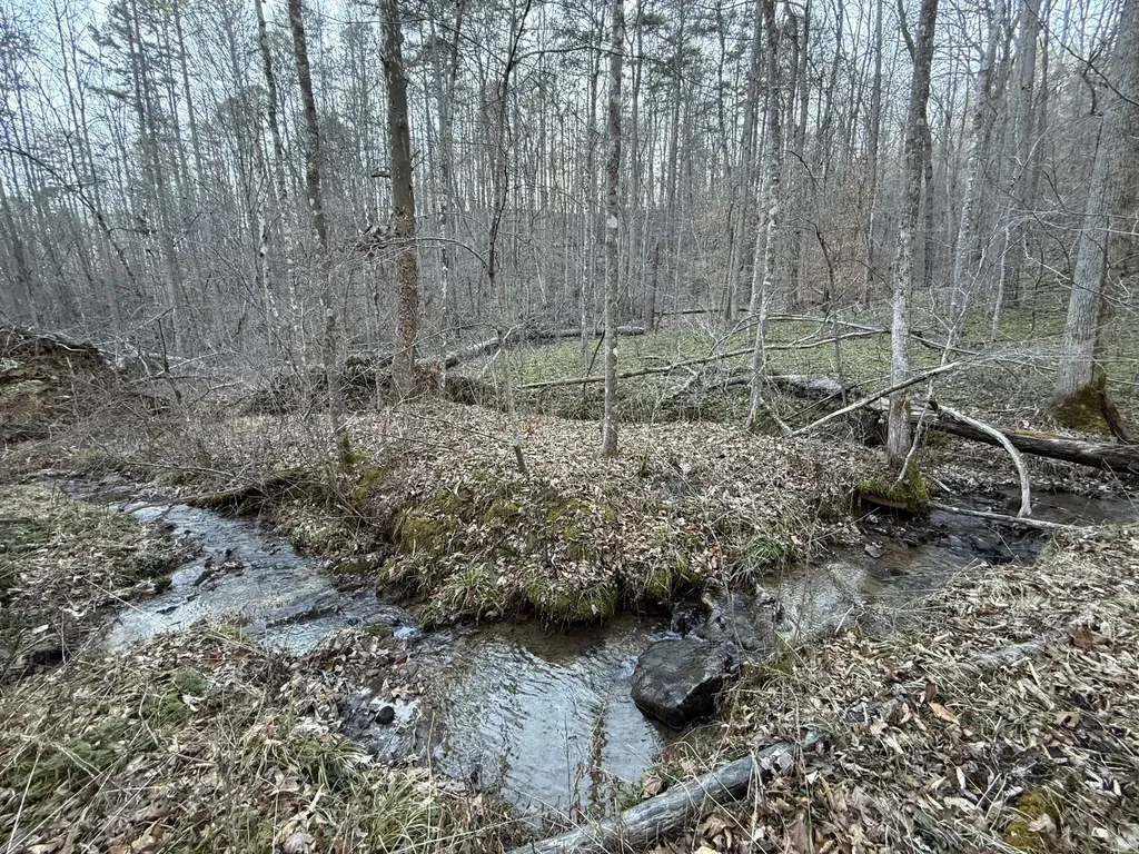 9991 Red Hill Road Livingston KY 40445