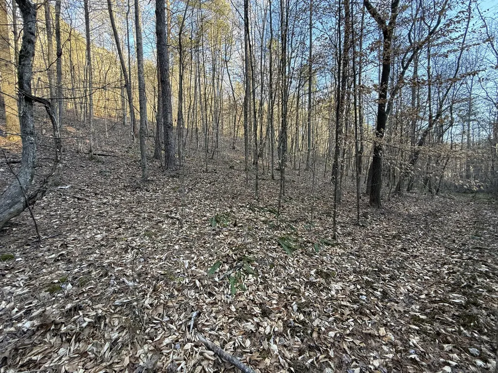 9991 Red Hill Road Livingston KY 40445