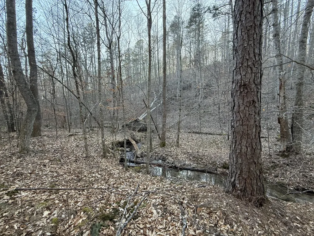 9991 Red Hill Road Livingston KY 40445