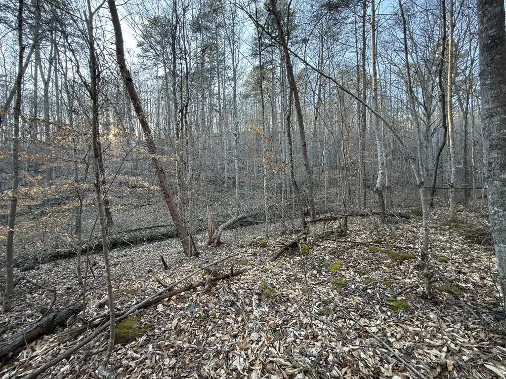 9991 Red Hill Road Livingston KY 40445