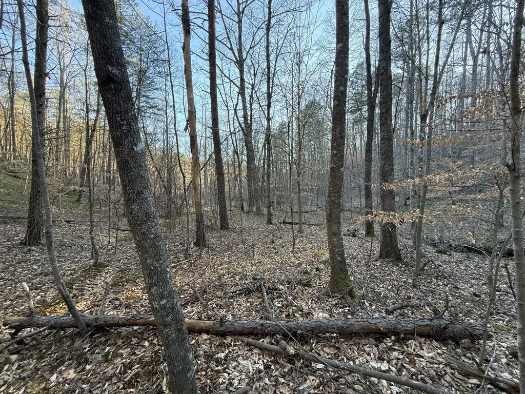9991 Red Hill Road Livingston KY 40445