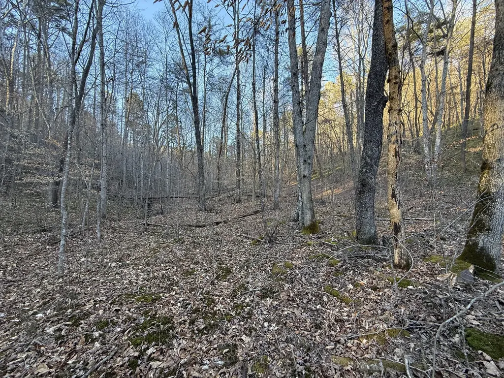 9991 Red Hill Road Livingston KY 40445