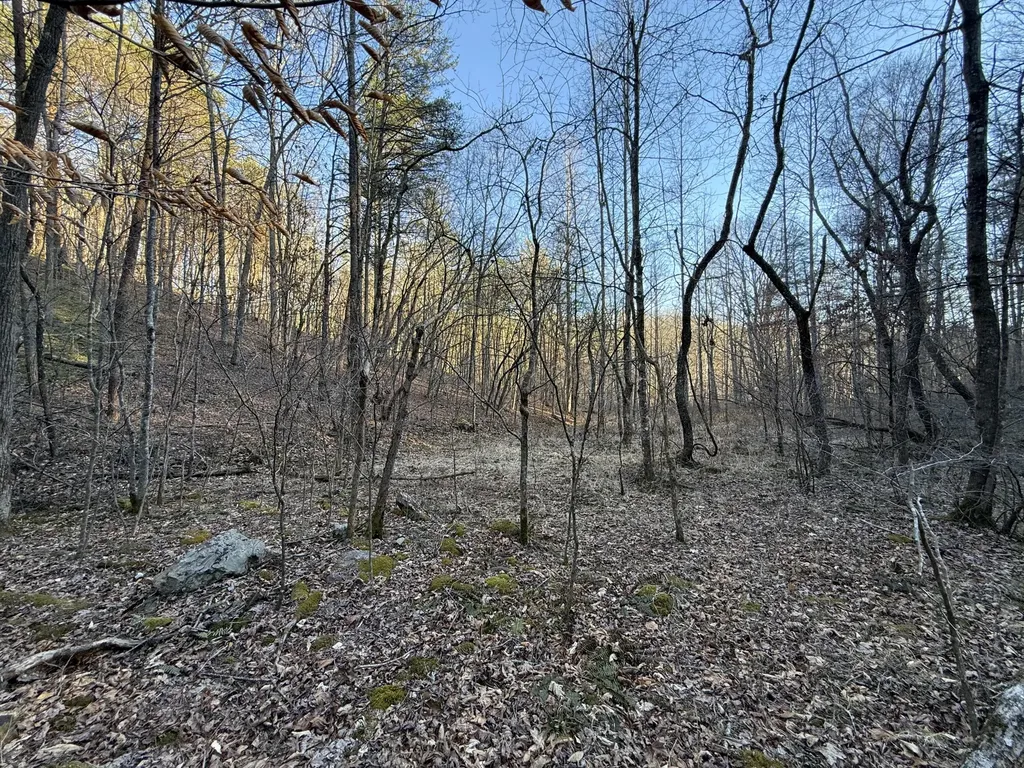 9991 Red Hill Road Livingston KY 40445